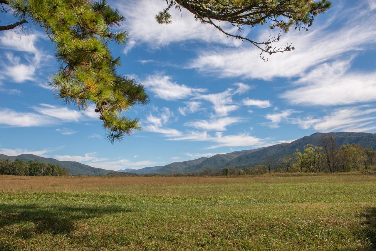 Sandy'S Sanctuary Appartement Pigeon Forge Buitenkant foto